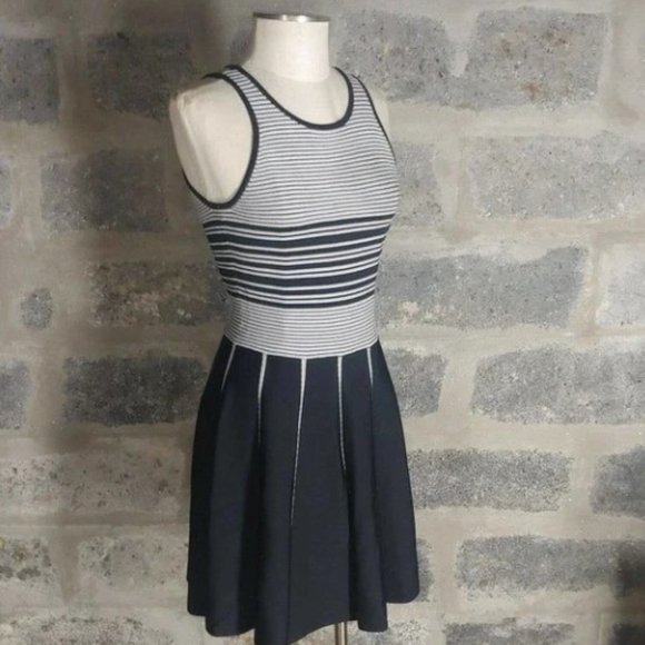 NWOT! Parker Sz XS / 2 Nia Knit Striped Nylon Skater Mini Dress A line Hem - Picture 5 of 9
